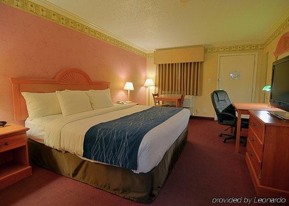 Comfort Inn & Suites Quakertown Zewnętrze zdjęcie